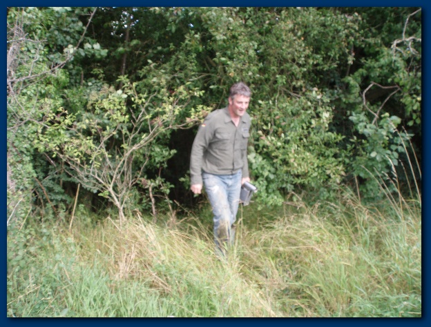 600x449 pixels (169K)